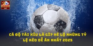Cá độ tài xỉu là gì ?