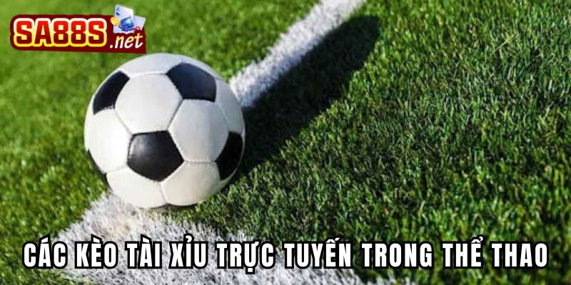 Chia sẻ thông tin kèo tài xỉu trong thế giới thể thao