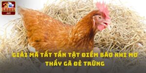 Mơ thấy gà đẻ trứng